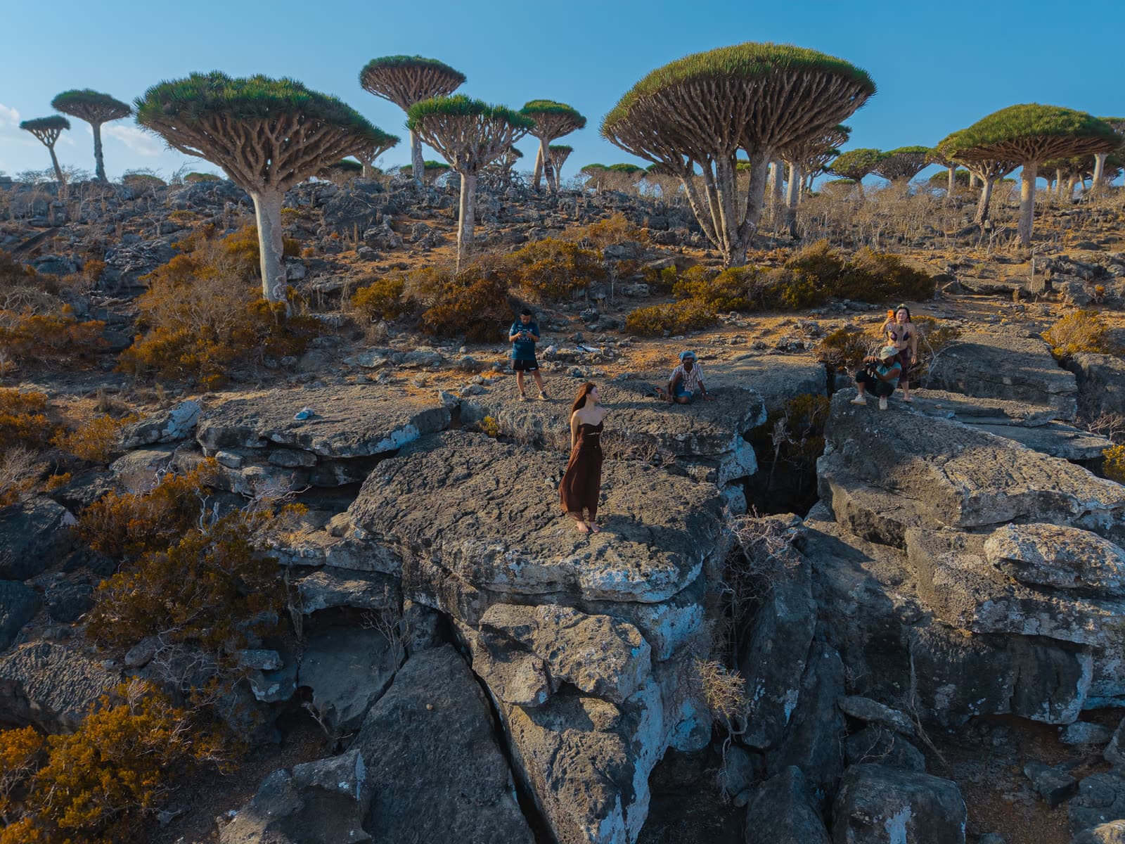 Socotra landscape 5