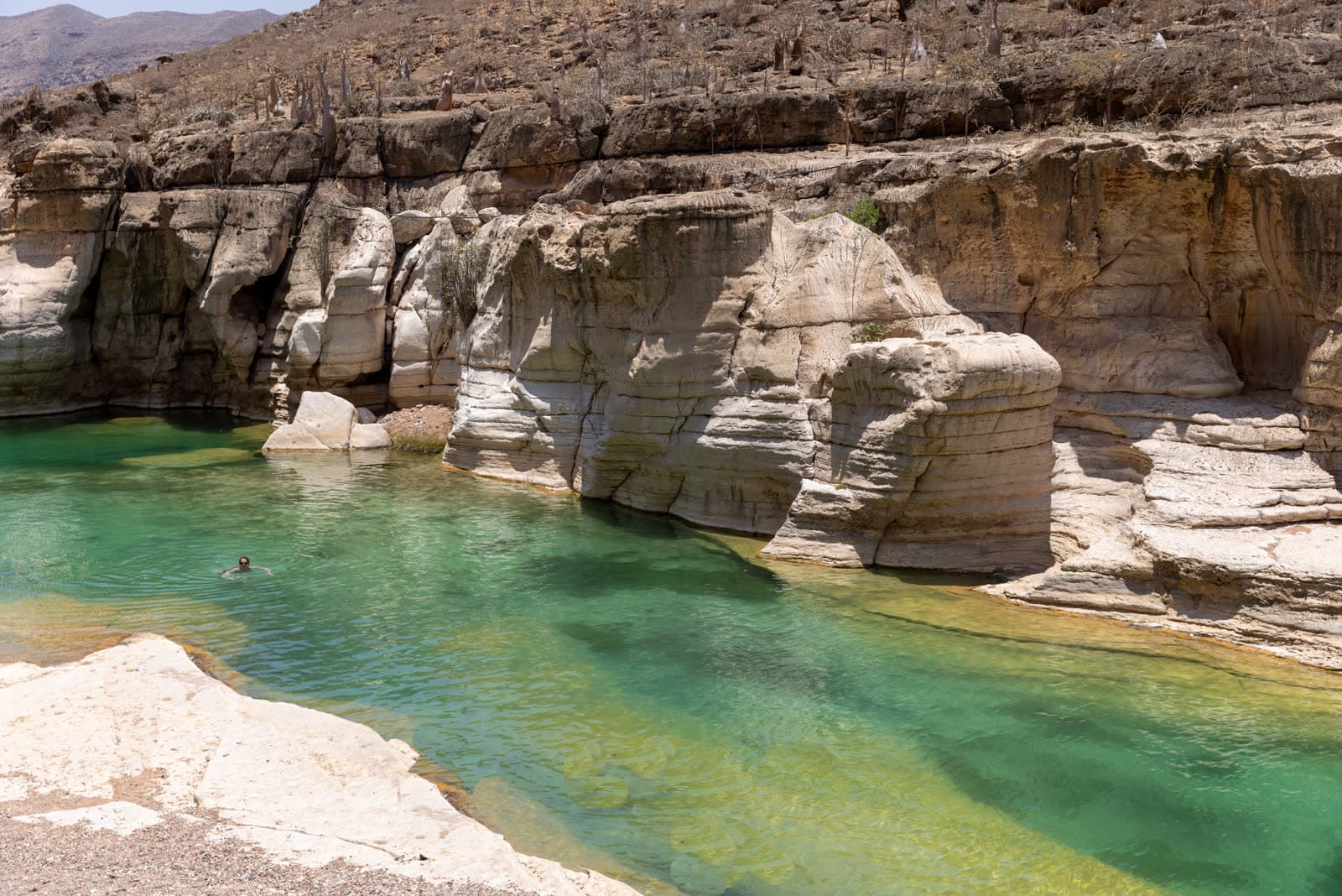 Socotra landscape 4